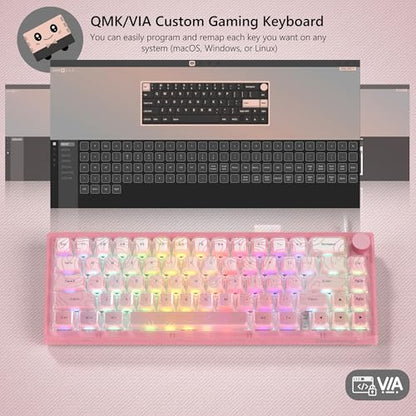 Womier 60% Percent Keyboard Pink Mechanical QMK/VIA Gaming Keyboard | Creamy Keyboard Topographic, Hot Swappable Gasket Mount RGB Wired Key board & Translucent Keycaps (VK66 PRO) - color: V-Pink1