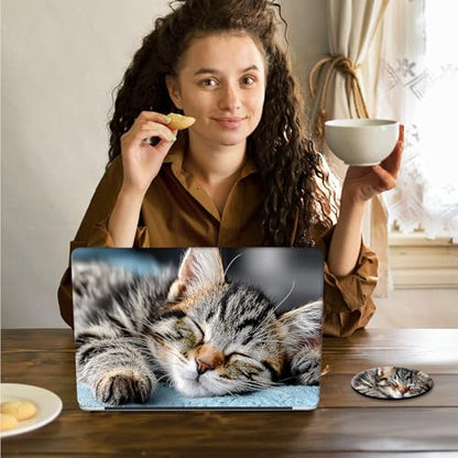 Laptop Skin Sticker Decal 15.6 Inch,12 13 13.3 14 15 15.6 in Laptop Netbook Skins for Notebook,Art Decal Removable Waterproof Scratch Resistant,Universal Vinyl Cover,Cute Sleep Cat - color: Cute Sleep Cat