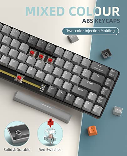 ZIYOU LANG RK68 60% Wireless Mechanical Keyboard,Bluetooth 5.0/2.4Ghz Dual Mode Receiver,Hot-Swappable Mini 68-Key,Retro Color Keycaps,Linear Red Switch,Ultra Power Saving for PC PS4 Xbox iPhone ipad - color: Light gray/Red Switch