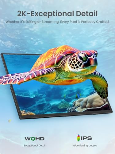 Portable Monitor 24.5” 165HZ, 2K Portable Gaming Monitor with FreeSync, HDR, 180°Adjustable Stand & VESA, 350Nits QHD IPS Large Travel Gaming Second Screen for Laptop, Game Console