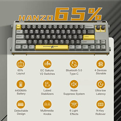 65% Mechanical Gaming Keyboard, Varmilo EC V2 Sakura Switches, BT5.0+USB-C, 4 Devices Connection, LED Backlit 4400mAh Battery, Anti-Ghosting 65 Keys Wireless Keyboard,Win/Mac