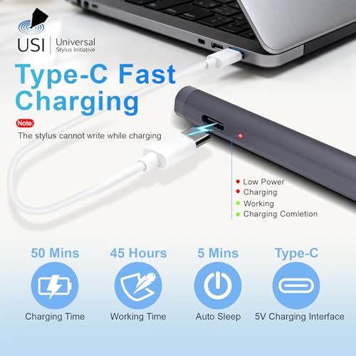 USI 2.0 Stylus Pen for Chromebooks, Palm Rejection | Stylus Pen for Chromebooks Acer Spin,ASUS Flip,Lenovo Duet/IdeaPad/Flex,Amazon Fire Max 11/Fire HD 10, Google Pixel, Grey - color: Grey