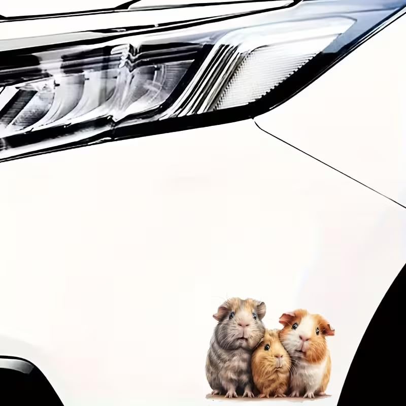Cute Animal Hamster PVC Vinyl Car Decals Stickers Waterproof Self-Adhesive Decals for Cars, Laptops, Trucks, Motorcycles Wall Window Luggage Scratch Cover Door Decor Sticker