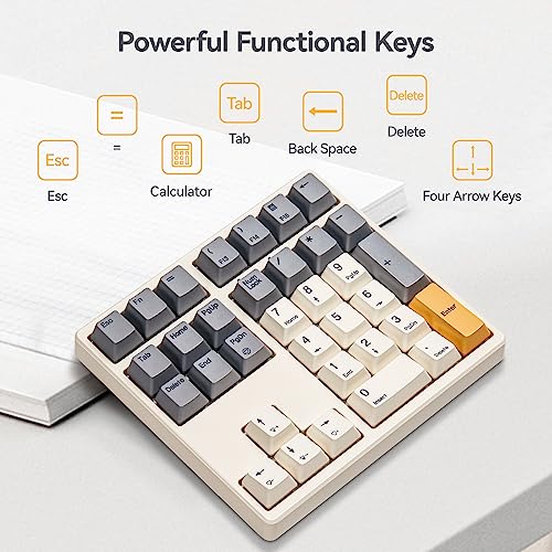 Kisnt KN34 Mechanical Numpad, Full-Function for Heavy Excel Financial | Wired 34 Keys Hot Swappable, PBT Keycaps with White Backlit, Laptop MacBook PC Desktop Compatible (Brown Switch)