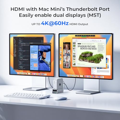 RayCue SmartDock Pro for Mac mini M4 Dock Stand with M.2 NVMe SSD Enclosure, 4K 60Hz HDMI, 10Gbps USB-C/A, Gigabit Ethernet, SD/TF Card Readers – Space-Saving Vertical Hub Compatible with Mac mini