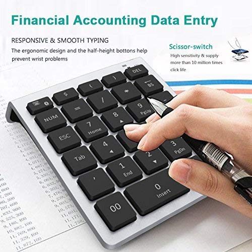 Lekvey Bluetooth Number Pad, 10 Keys Numeric Keypad Portable Wireless Bluetooth Keypad : 28-Key Numpad Extensions for Financial Accounting Data Entry for Laptop Surface Pro Tablets Windows, Silver - color: Silver