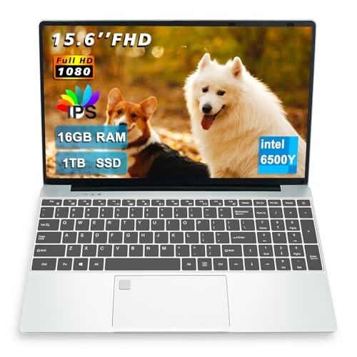 15.6" FHD Laptop for Office & Study, Pentium Processor (Up to 3.4GHz), 16GB RAM 1TB SSD, Portable with Backlit Keyboard & Fingerprint Reader, WiFi 5/BT 5.0/USB 3.0/Type-C/HDMI - style: 1561-16G-1TB-6500Y