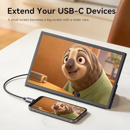 17.3 Inch Portable Monitor, HD+ 1600×900 Resolution, 16:9 Widescreen IPS Display, Ultra-Slim External Second Monitor for Laptop, Phone, PS5, Xbox, Switch, PC (17.3") - size: 17.3"