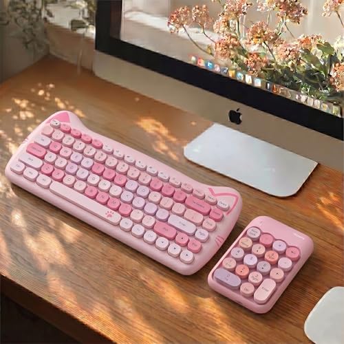Lomiluskr Cute Wireless Number Keypad with 2.4G USB Receiver, 18 Colorful Round Keys Numpad, Portable Financial Accounting Numeric Keyboard, Suitable for PC, Laptop (Pink) - color: Pink