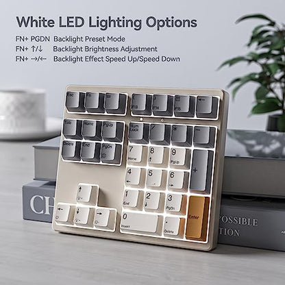 Kisnt KN34 Mechanical Numpad, Full-Function for Heavy Excel Financial | Wired 34 Keys Hot Swappable, PBT Keycaps with White Backlit, Laptop MacBook PC Desktop Compatible (Brown Switch)