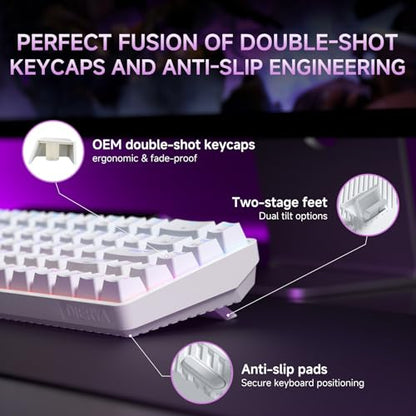 DIERYA DK68 60% Wireless Mechanical Gaming Keyboard, 3-Mode, Bluetooth 5.0/2.4G/USB-C, RGB Backlit, 68-Key Compact Mini for Windows, Mac, Linux - Linear Red Switch - White - color: White/Red Switch, size: Wireless