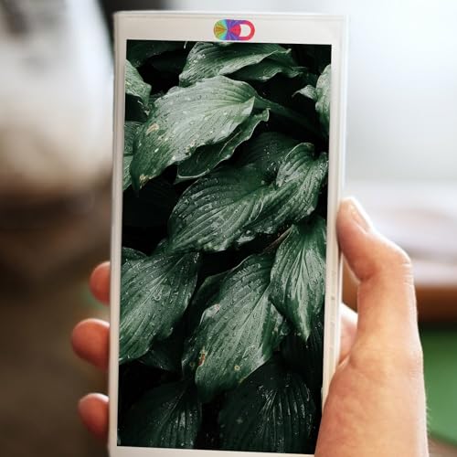 Holibanna Webcam Privacy Covers 3pcs Laptop Camera Protector with Sliding Guard, Ultra-Thin Privacy Patch for Laptops, Tablets, and Smartphones, Green Card Style