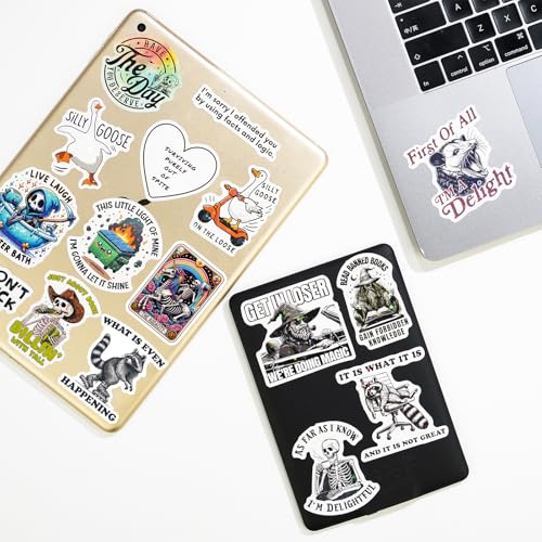 200 PCS Funny Holographic Stickers for Adults, Waterproof Vinyl Sarcastic Meme Decals for Laptop, Water Bottle, Phone, Kindle, Journal, Scrapbook, Bumper, Skateboard, Luggage, No Repeats