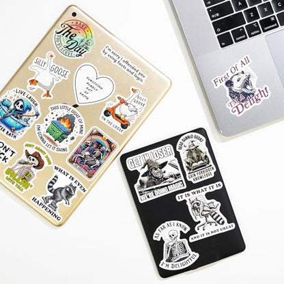 200 PCS Funny Holographic Stickers for Adults, Waterproof Vinyl Sarcastic Meme Decals for Laptop, Water Bottle, Phone, Kindle, Journal, Scrapbook, Bumper, Skateboard, Luggage, No Repeats