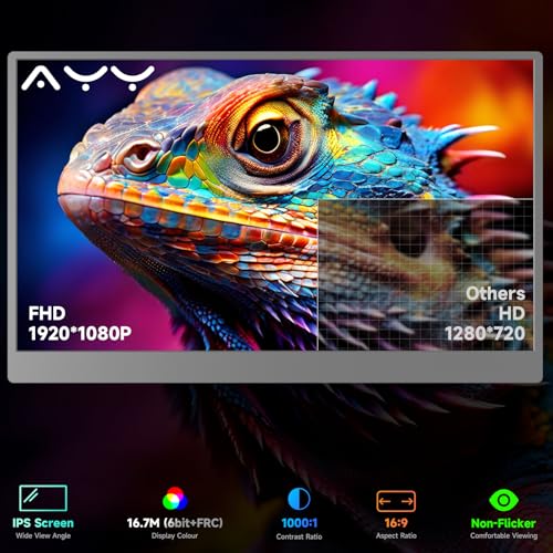 qaf 15.6 Inch Portable Monitor 1080P USB-C HDMI Display, Ultra-Thin IPS Screen, 100% sRGB, Travel Second Monitor for Laptop Mac PC Phone PS5 Xbox, Built-in Speakers, Space Gray - style: 15.6-inch Space Gray