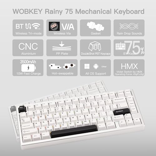 KEEBMONKEY WOBKEY Rainy 75 CNC Aluminum HMX/JWK/Cocoa Switches Triple-Mode Connectivity Mechanical Keyboard with Superior Acoustics, RGB/PP/Mirrored Glass/3500mAh/Violet Switch (Standard - Silver) - style: Standard - Silver