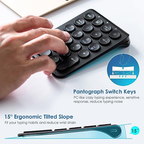 SANWA TB168 Wireless Trackball(USB-A & Type-C Receiver) + Bluetooth Numeric Keypad, Programmable Silent Buttons, 22-Key Portable Financial Accounting Numpad, Compatible with Mac, Laptop, Windows