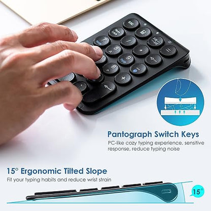 SANWA Bluetooth Numeric Keypad, Rechargeable Wireless Ten Key Number Pad, 22-Key Portable & Slim Financial Accounting Numpad for Laptop Computer, Compatible with MacBook, Windows, Android, iOS, Black