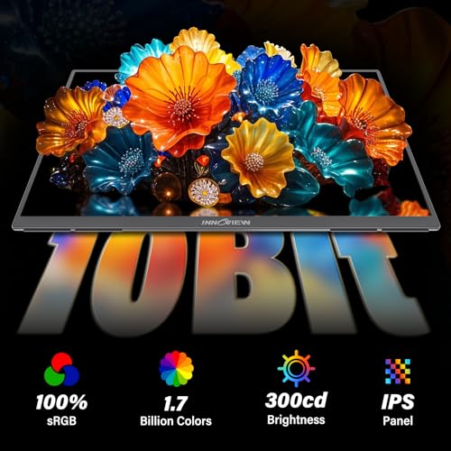 InnoView 23.8 Inch 2K 100Hz Large Portable Monitor ∆E<2 100% sRGB Fast IPS Portable Gaming Monitor QHD w/180° Adjustable Stand USB-C HDMI Laptop Monitor for PS5/4 Desktop MacBook Switch Xbox 2560X1440 - size: 23.8-Inch