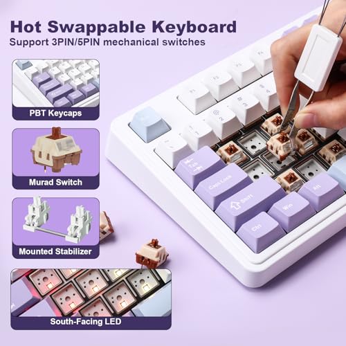 AJAZZ AK980 Mechanical Keyboard, Creamy & Thocky with Smart Display & Knob, 98% Wireless Tri-Mode BT/2.4G/USB-C, Hot Swappable, RGB Light for Win & Mac (Purple, Murad Switch) - color: Purple