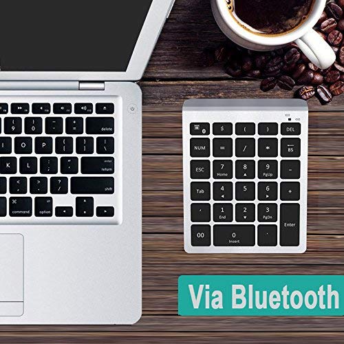 Lekvey Bluetooth Number Pad, 10 Keys Numeric Keypad Portable Wireless Bluetooth Keypad : 28-Key Numpad Extensions for Financial Accounting Data Entry for Laptop Surface Pro Tablets Windows, Silver - color: Silver