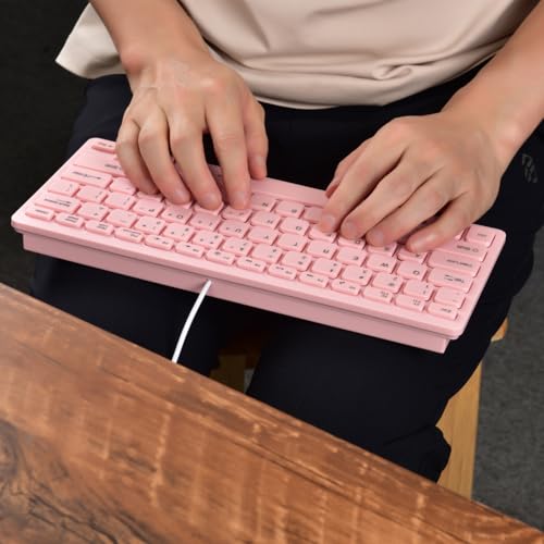 MCSaite Mini Wired Pink Keyboard - with Keyboard Cover Computer keypad for Laptop MAC Windows 10/8 / 7 / Vista/XP (Pink+Keyboard Film)