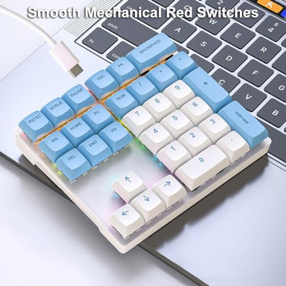 Mechanical Numpad Rainbow Backlit Smooth Red Switches Wired USB Number Pad 33-Key NKRO Numeric Keypad with XDA PBT Keycaps External Keyboard Num Pad for Laptop, Mac - White Blue - color: White Blue - Red Switch