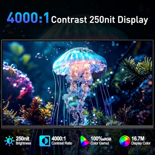 SANSUI 22 Inch 120Hz Monitor, FHD Computer Monitor 4000:1 Contrast Ratio with Adaptive Sync, HDR 100% sRGB, HDMI x 2, VESA Mount, Eye Care for Home/Office (ES-22X3AH, One HDMI Cable Included). - size: 22