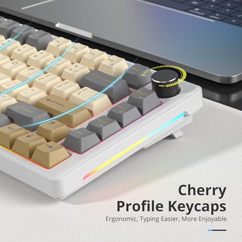 75% Retro Mechanical Keyboard Gasket with Knob, Custom Wired Creamy Gaming Keyboard TKL 75 Percent Hot Swappable RGB Backlit, Pre-lubed Switch for Win/MAC PC Laptop（Shimmer/White Switch） - color: Shimmer/White Switch