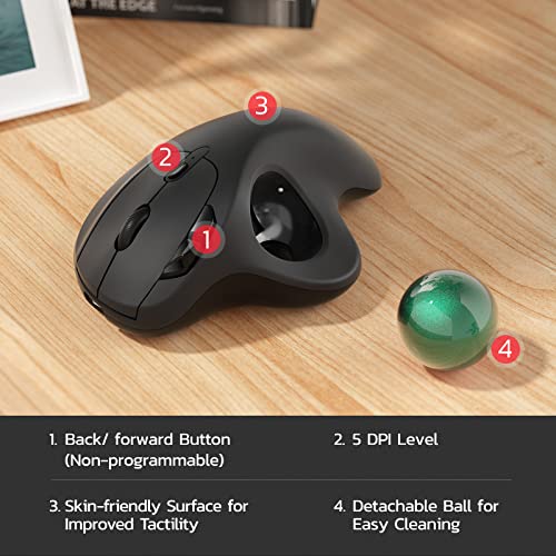 Nulea M501 Wireless Trackball Mouse, Rechargeable Ergonomic, Easy Thumb Control, Precise & Smooth Tracking, 3 Device Connection (Bluetooth or USB Receiver), Compatible for PC, Laptop, Mac, Windows. - color: E-Green