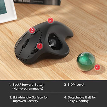 Nulea M501 Wireless Trackball Mouse, Rechargeable Ergonomic, Easy Thumb Control, Precise & Smooth Tracking, 3 Device Connection (Bluetooth or USB Receiver), Compatible for PC, Laptop, Mac, Windows. - color: E-Green