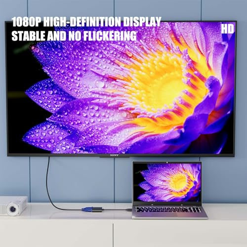 PANPEO HDMI to VGA, Gold-Plated HDMI to VGA Adapter (Male to Female) Contain 3.5mm Audio Port and Power Supply Port Computer, Desktop,Laptop,PC,Monitor,Projector,HDTV,Roku,Xbox,Support 4K 1080P