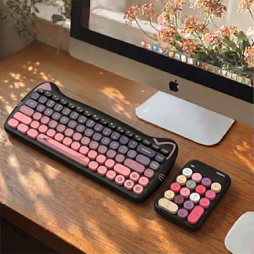 Lomiluskr Cute Wireless Number Keypad with 2.4G USB Receiver, 18 Colorful Round Keys Numpad, Portable Financial Accounting Numeric Keyboard, Suitable for PC, Laptop (Black) - color: Black