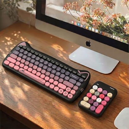 Lomiluskr Cute Wireless Number Keypad with 2.4G USB Receiver, 18 Colorful Round Keys Numpad, Portable Financial Accounting Numeric Keyboard, Suitable for PC, Laptop (Black) - color: Black