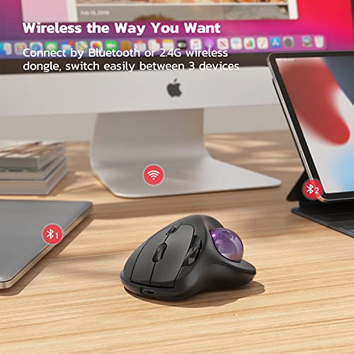Nulea M501 Wireless Trackball Mouse, Rechargeable Ergonomic, Easy Thumb Control, Precise & Smooth Tracking, 3 Device Connection (Bluetooth or USB Receiver), Compatible for PC, Laptop, Mac, Windows. - color: C-Purple