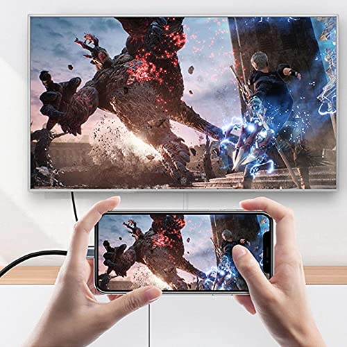 USB-C Type C Female Source to Displayport DP Sink HDTV & PD Power Adapter 4K 60hz 1080p for Phone & Laptop