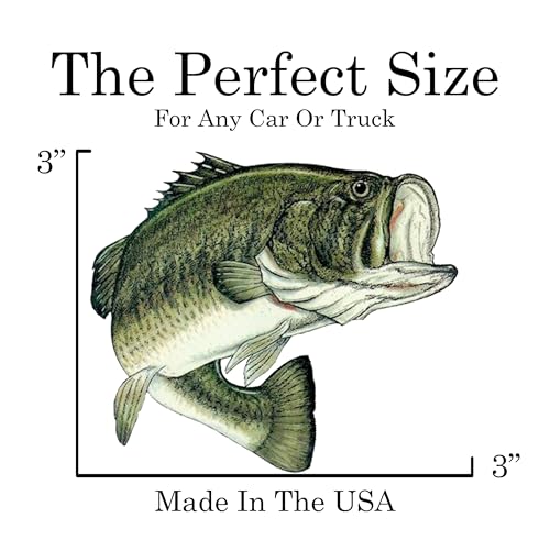 Small Fishing Bass Fish Sticker Decal Fishing Bumper Sticker Fish Auto Decal Car Truck Boat RV Real Life Pole Tackle Box Fisherman (3 Inch) - size: 3 Inch