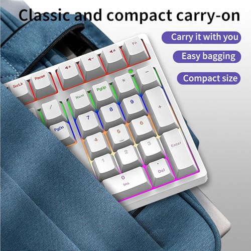 XUMIUZIY Number Pad, Mechanical Numeric Keypad with RGB Backlit, Hotswap Blue Switches, PBT Keycaps, 34 Keys USB Wired Numpad for Laptop, Computer, PC (White) - color: White