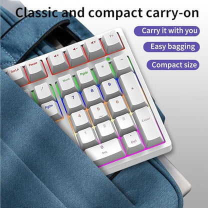XUMIUZIY Number Pad, Mechanical Numeric Keypad with RGB Backlit, Hotswap Blue Switches, PBT Keycaps, 34 Keys USB Wired Numpad for Laptop, Computer, PC (White) - color: White