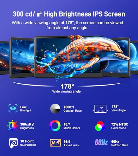 15.6 inch Portable Touchscreen Monitor with HDMI VGA DVI Ports, Screen Extender FHD 1920×1080 IPS Small Touch Screen Display Compatible with Laptops PC PS5/4, Industrial (with Remote) - size: 15.6 inch