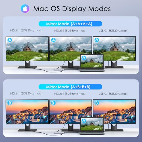 10-in-1 USB C Hub with 4K HDMI Adapter, SD/TF Card Reader, 100W PD Charging, 2 USB 3.0 Ports, and 2 usb2.0 Ports for MacBook Pro/Air, Dell XPS, Lenovo ThinkPad, etc. (3X 8K Docking Station) - style: 3x 8K Docking Station