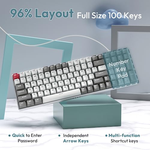 RK ROYAL KLUDGE RK100 Wireless Mechanical Keyboard RGB Backlit Bluetooth5.1/2.4G/Wired 96% Full Size 100-Key Hot Swappable Gaming Keyboard Brown Switch Classic - color: Classic, size: Hot Swappable Brown Switch