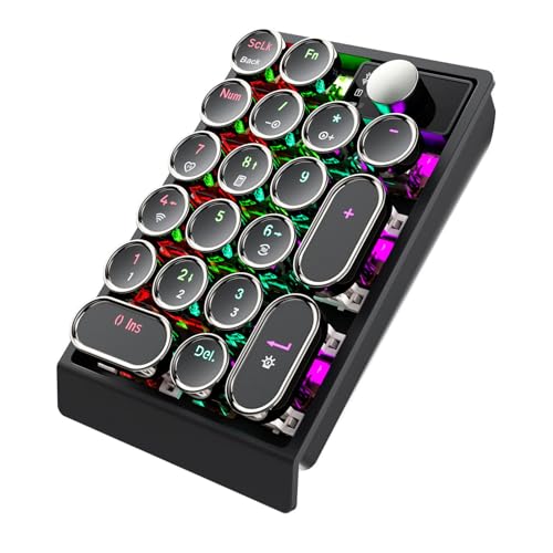 Asixxsix Wireless Gasket RGB Number Pad, 19 Keys Mechanical Numpad, Knob Control, 2.4GHz Bluetooth Portable Financial Accounting Rechargeable Numeric Pad for Laptop, PC