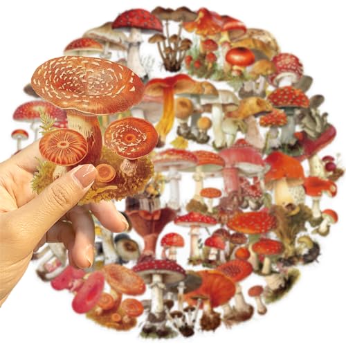 Clear Mushroom Stickers,50PCS Cute Mushroom Scrapbook Stickers for Journaling, Junk Journal, Water Bottles, Phone Cases, Laptops, Waterproof Transparent Scrapbook Supplies(colourful-B10) - color: Colourful-b10
