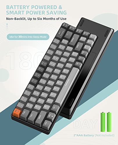 ZIYOU LANG RK68 60% Wireless Mechanical Keyboard,Bluetooth 5.0/2.4Ghz Dual Mode Receiver,Hot-Swappable Mini 68-Key,Retro Color Keycaps,Linear Red Switch,Ultra Power Saving for PC PS4 Xbox iPhone ipad - color: Light gray/Red Switch