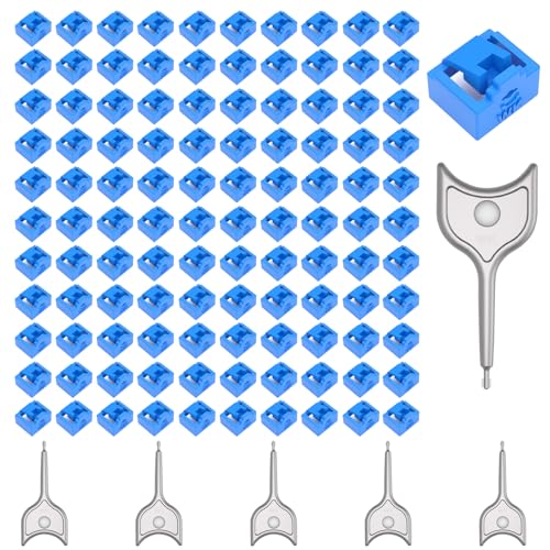100-Pack RJ45 Port Lock with 5 Keys,Security Network Port Lock & Dust Cover,Female RJ45 Connector Blocker Cap Protector for Computers,Servers, Routers & More (Blue) - color: Blue, size: 100+5