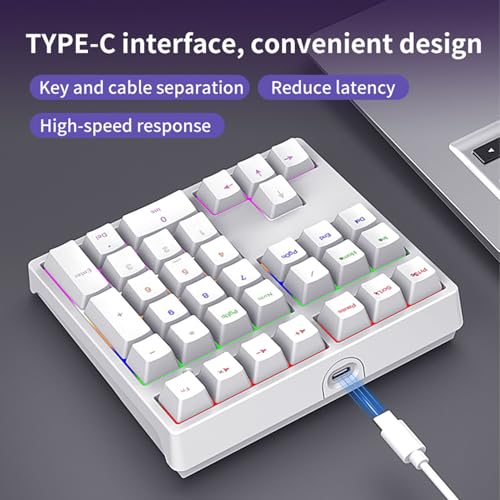 XUMIUZIY Number Pad, Mechanical Numeric Keypad with RGB Backlit, Hotswap Blue Switches, PBT Keycaps, 34 Keys USB Wired Numpad for Laptop, Computer, PC (White) - color: White