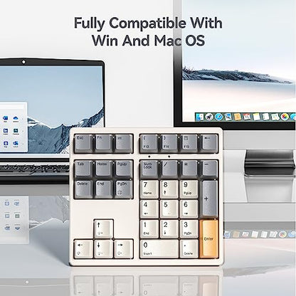 Kisnt KN34 Mechanical Numpad, Full-Function for Heavy Excel Financial | Wired 34 Keys Hot Swappable, PBT Keycaps with White Backlit, Laptop MacBook PC Desktop Compatible (Brown Switch)