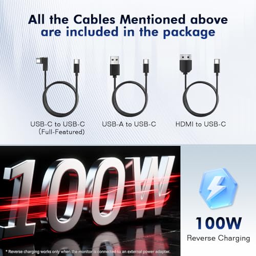 Blackview Laptop Screen Extender 14" FHD IPS, 1.3lbs 0.17" Ultra-Slim | 4.5mm ultra-slim, 14" 1080 FHD IPS, 180° rotate, dual-screen, plug & play, USB-C/HDMI, works with Mac/Windows/Android/Switch - color: SCM6