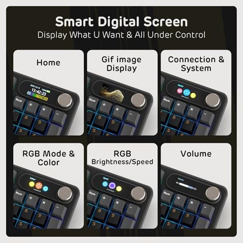 RK ROYAL KLUDGE S98 Mechanical Keyboard w/Smart Display & Knob, Top Mount 96% RGB Wireless Gaming Keyboard BT/2.4G/USB-C, Hot Swappable, Software Support, Creamy Sound, 98 Keys - color: Eclipse Black, size: Linear Cream Switch